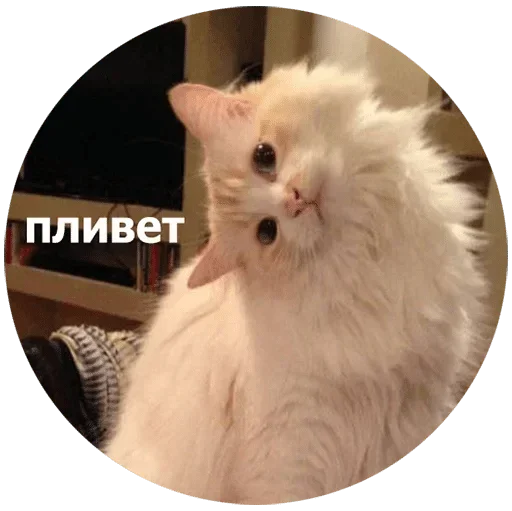 Sticker blackberry11 - 1