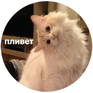 Sticker Blackberry - 7