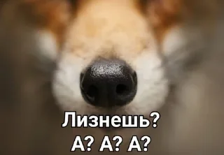 Sticker Blackberry - 3