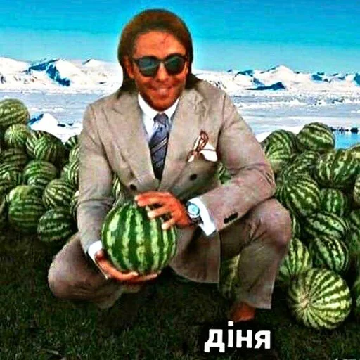 watermelon melon fruit