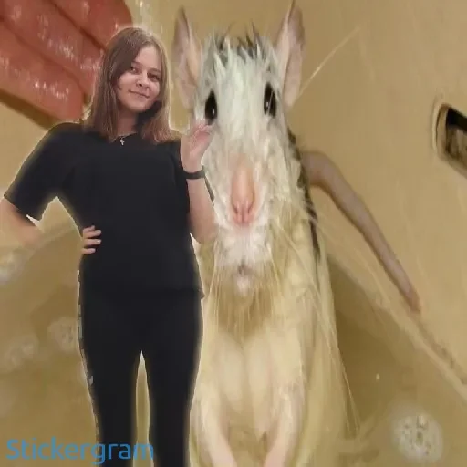 Sticker bladyshnik - 1