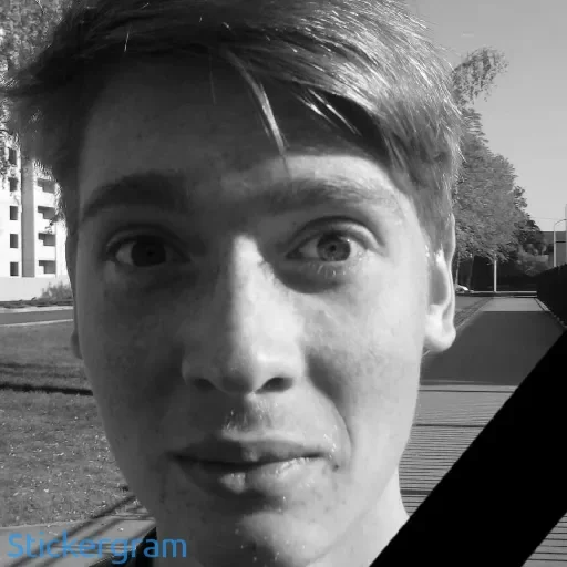 Sticker bladyshnik - 1