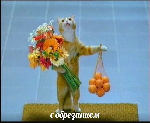 игрушка животное комнатный