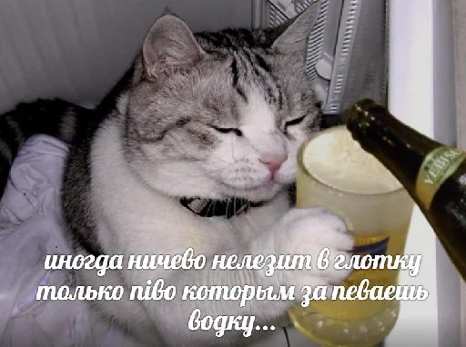 кошки малого и среднего размера комнатный кошачьи