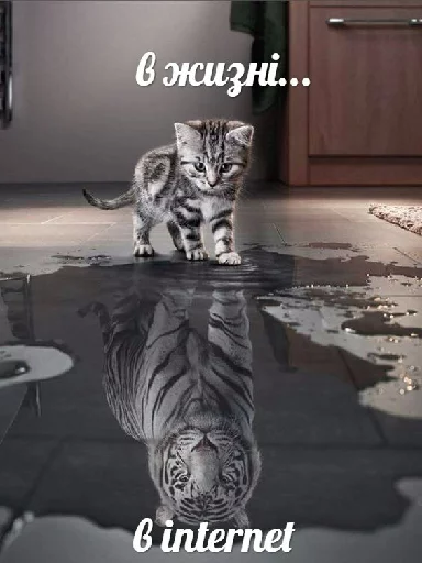 СМС животное млекопитающее