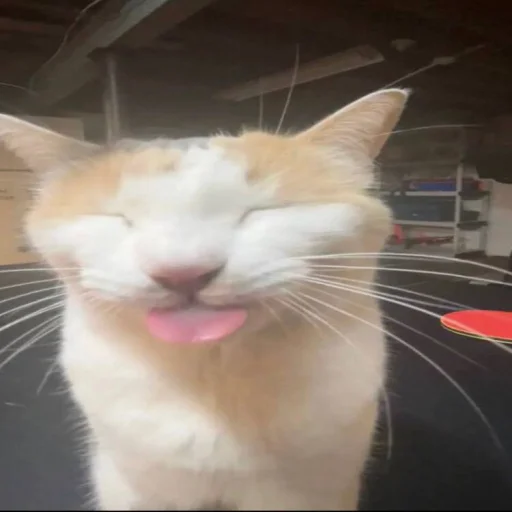 стикерпак любимой мамы - 