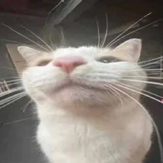 Стикер стикерпак любимой мамы - 7