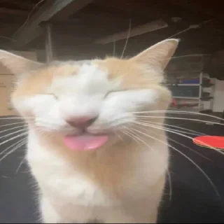 Стикер стикерпак любимой мамы - 6