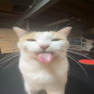 Стикер стикерпак любимой мамы - 3