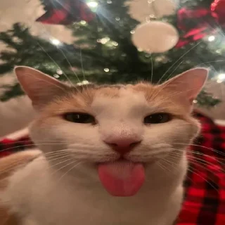 Стикер стикерпак любимой мамы - 1