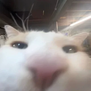 Стикер стикерпак любимой мамы - 5