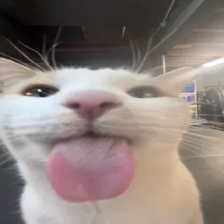 Стикер стикерпак любимой мамы - 2