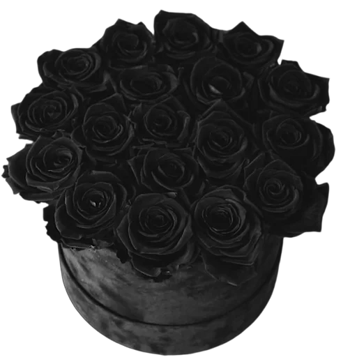 Sticker blemdrblack - 1