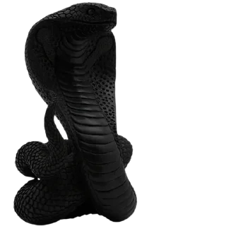 Sticker 𝒯𝑜𝓇𝓎 @ToryStickers - 10