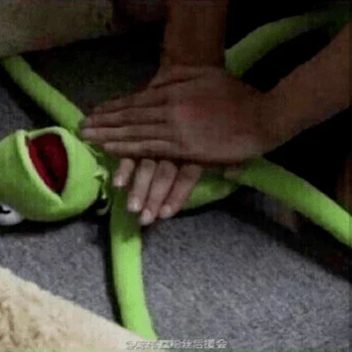 Человек зеленый комнатный