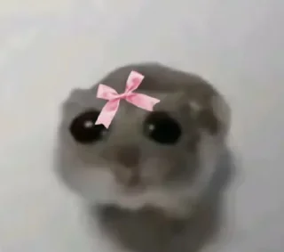 Sticker blevota - 10