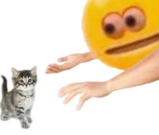 кошка животное млекопитающее