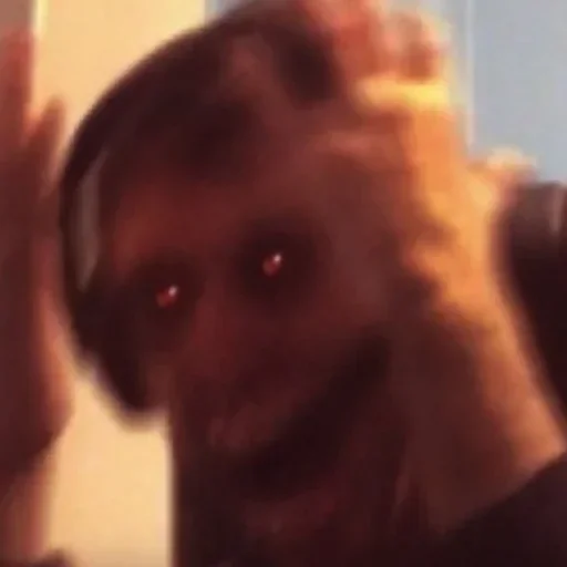 животное млекопитающее Человек