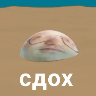 Стикер БЛОПТОП 3D 2.0 - 1