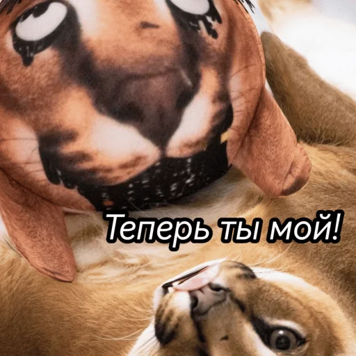 Sticker blopblopblop1 - 1