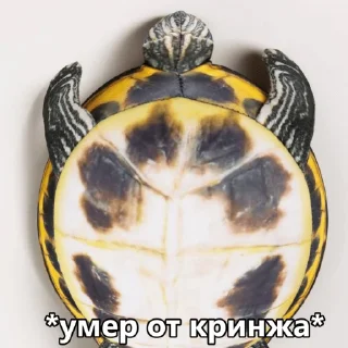Sticker ЖМЫХ - 10