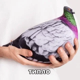 Sticker ЖМЫХ - 6