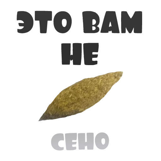 Sticker BLACK OPIUM - 2