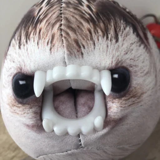 зуб орган Макросъемка