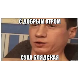 Стикер Random Bullshittery - 3