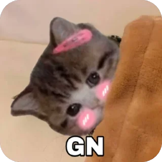 Sticker @blushingcat_ton - 3