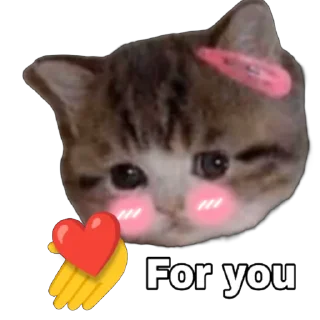 Sticker @blushingcat_ton - 5