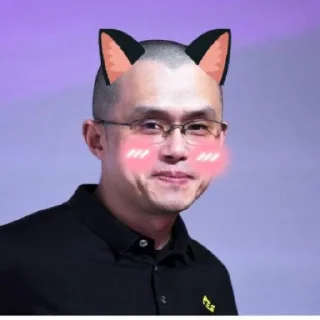 Sticker @blushingcat_ton - 6