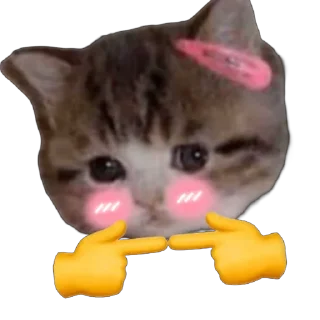 Sticker @blushingcat_ton - 11