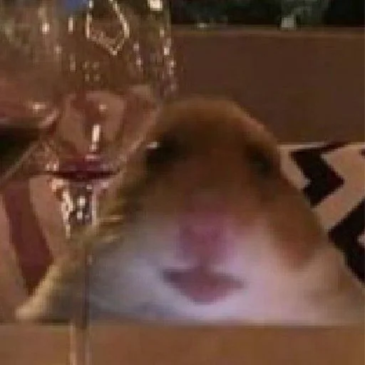 container glass text