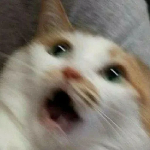 деля создала, лол by @fStikBot - 