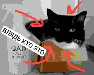 Стикер БЛЯДЬ КТО ЭТО И СЕМЬЯ ЮНИКО @holiwix - 11