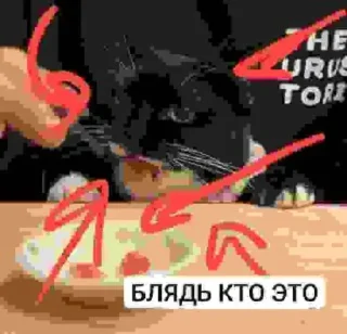 Стикер БЛЯДЬ КТО ЭТО И СЕМЬЯ ЮНИКО @holiwix - 2