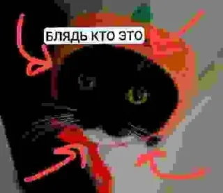 Стикер БЛЯДЬ КТО ЭТО И СЕМЬЯ ЮНИКО @holiwix - 6