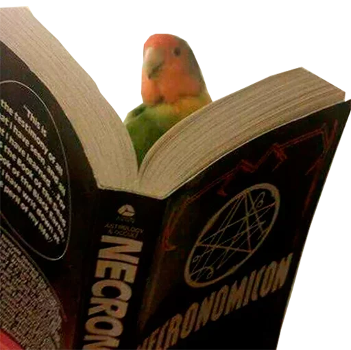 text book publication