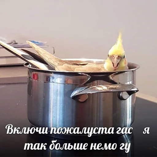 text indoor container