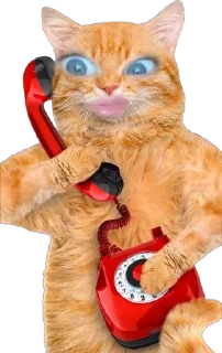 Sticker крысяо - 2