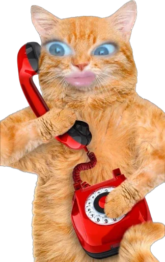 Sticker blyakrusyy - 1