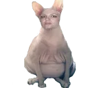 Стикер blyat - 7