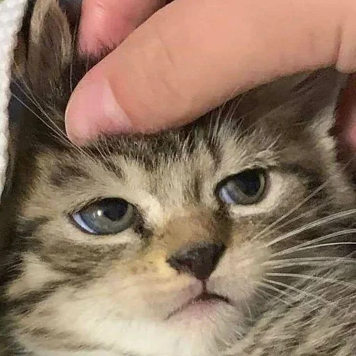 Стикер для тебя - 9