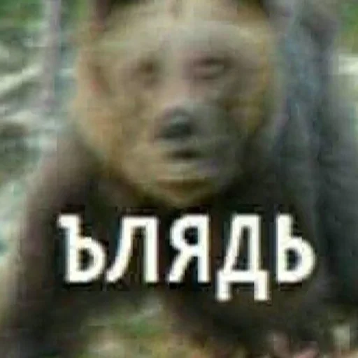 Стикер для тебя - 6