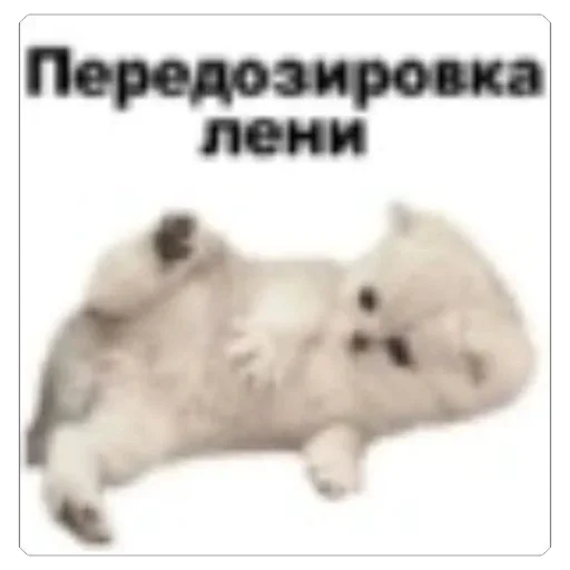 Sticker bmkz4u57_by_EmojiCatalogbot - 1