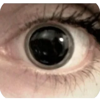 Стикер ^_−☆ @nef0rsx - 1