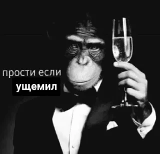 Стикер Больше стиков тут: @gostikers - 10