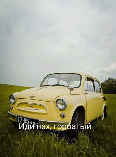 grass vehicle land vehicle