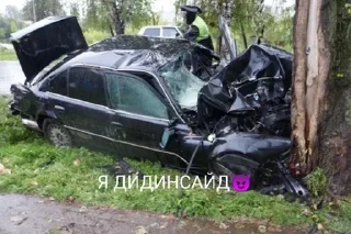 на открытом воздухе наземный автомобиль шина